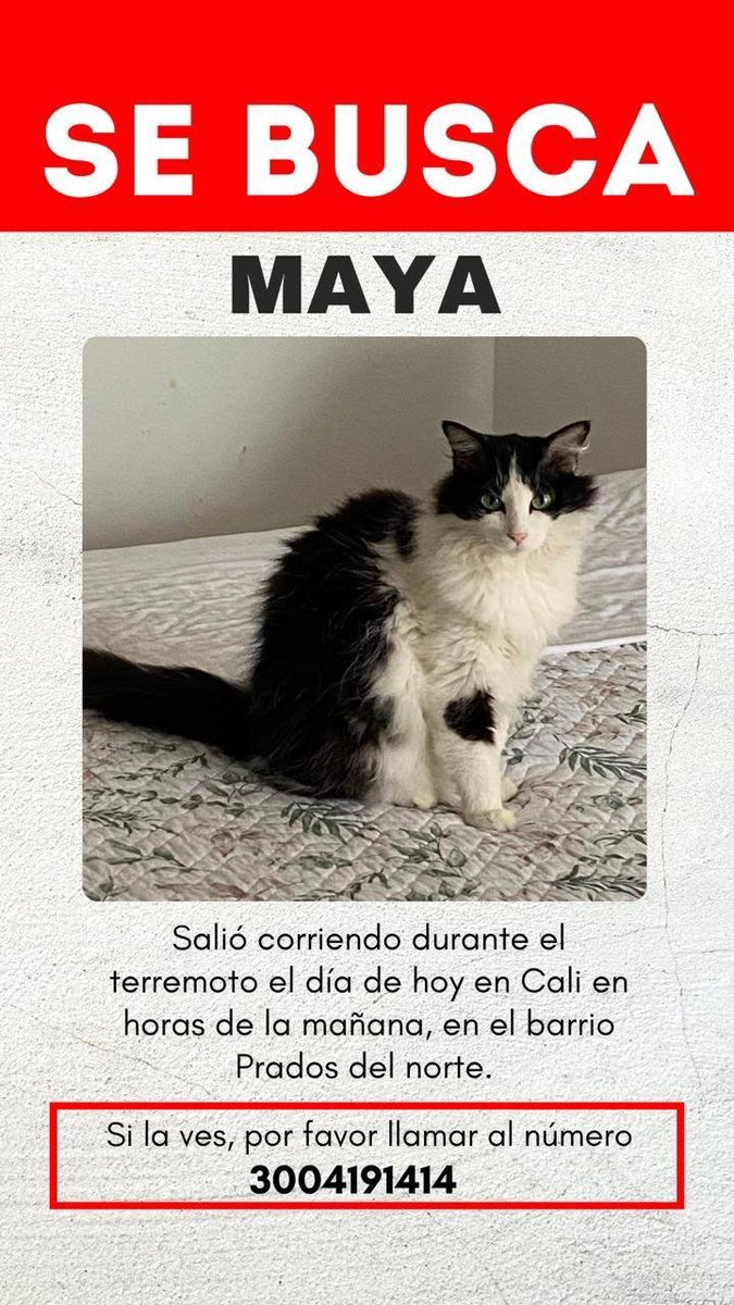 MafeSanchez642's tweet photo. @MAJOB_16 Aún no aparece!!RT!! https://t.co/6IUGAaTSLC