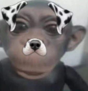 zigyuhhhhh's tweet photo. @gasbisxd estou sem colete esperando o tiro https://t.co/812nLoi4zo