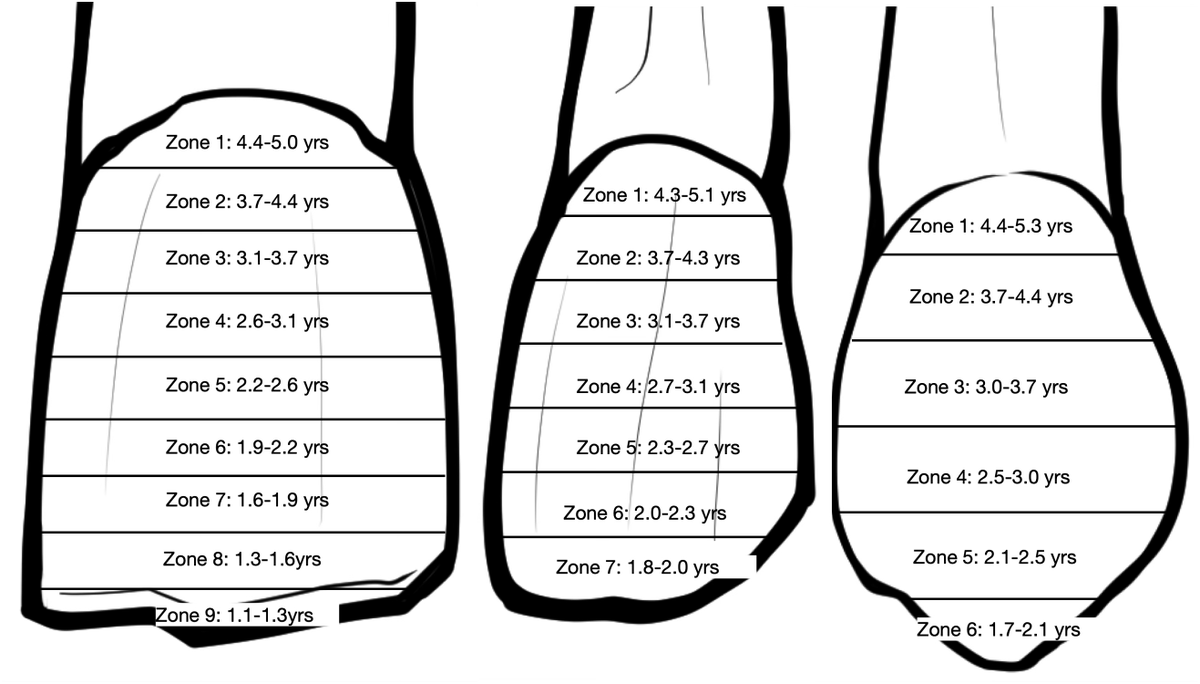 OSUanthro's tweet photo. A new study published in PLOS ONE featuring the work of OSU anthropology faculty members and colleagues explores how environmental disruptions leave their mark on human tooth morphology!
Check it out here:
https://t.co/jXsbxOmHe8 https://t.co/b2sYw9dvjg
