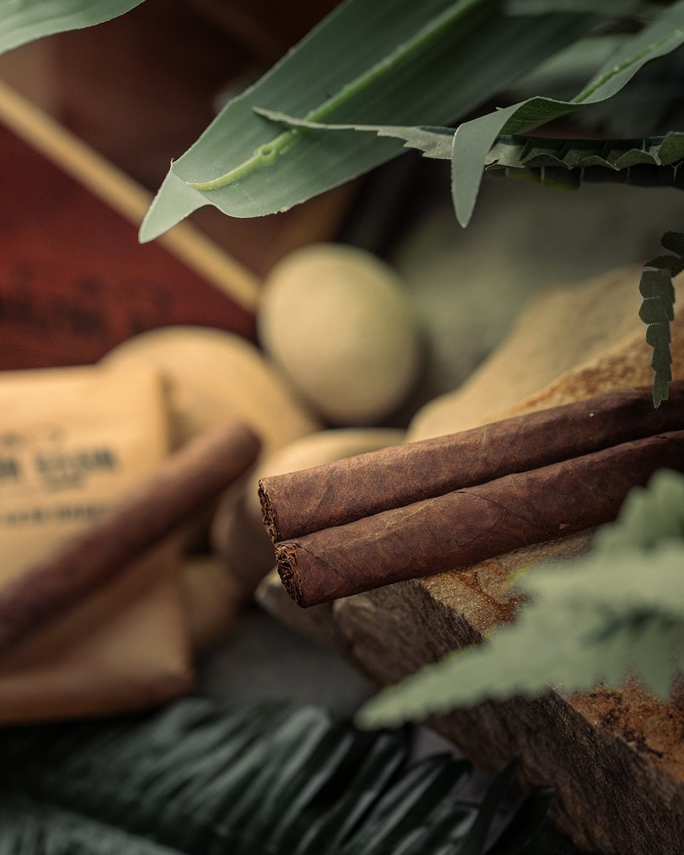 caocigars's tweet photo. It takes three years for the Amazon Rainforest to yield Bragança tobacco. It only takes a second to realize why it’s legendary. 

Daggers pack the award-winning Bragança blend of the original Amazon Basin into a compact 4 X 38 size.

Available in limited quantities. Claim yours before the supply runs dry!