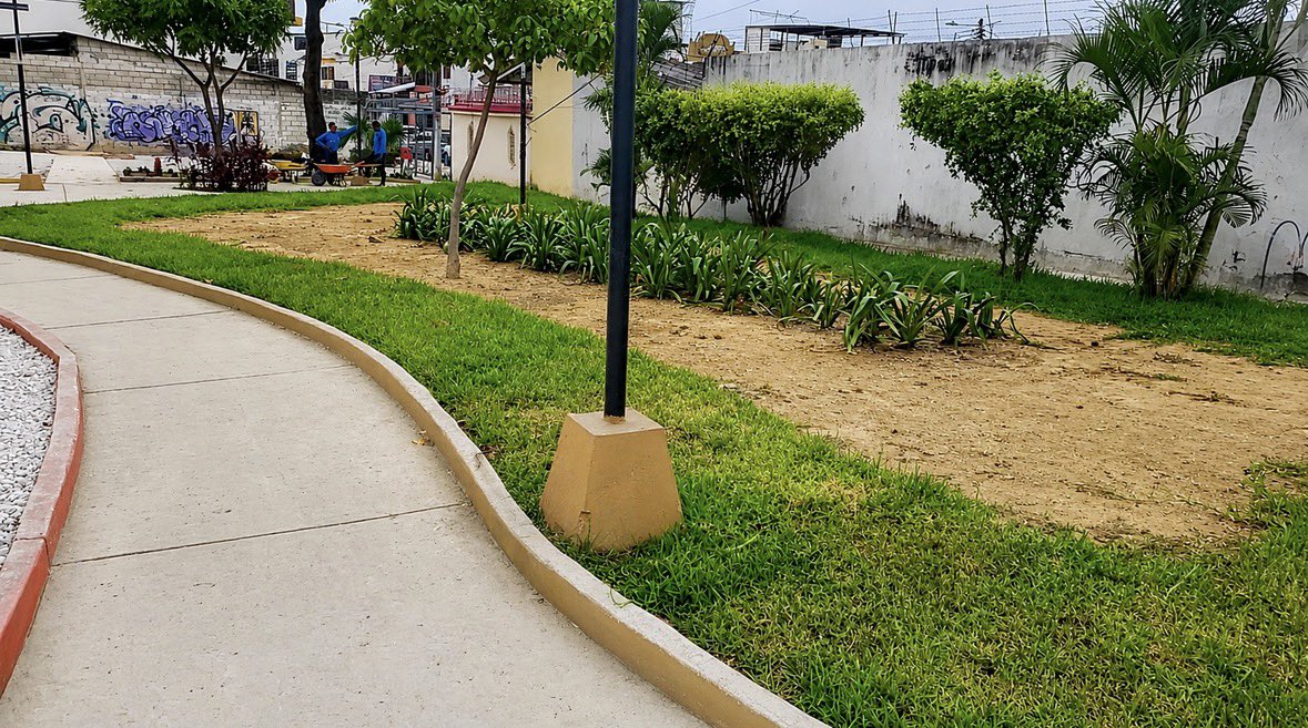 parquesgye's tweet photo. En el Parque de la Cdla. Alborada 13.ª etapa, ejecutamos trabajos de diseño y mejoramiento paisajístico, incorporando:

180 m² de césped
Siembra de plantas ornamentales
40 m³ de piedra 3/4 blanca

Estas acciones permiten mejorar la imagen del parque, aportar variedad vegetal y generar un entorno más agradable para la ciudadanía.

Seguimos trabajando por espacios públicos de calidad. Su cuidado y conservación es responsabilidad de todos. 

#AsiSeHaceGuayaquil #AquiEstamos #GuayaquilNoSeDetiene #CiudadDeTodos
@alcaldiagye @taticoronelf