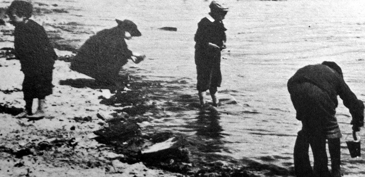 tourscotland's tweet photo. Old Tour #Scotland #Ancestry Travel Visit #Genealogy #Scottish Family #History Blog #photography of children on a beach in #Kirkcaldy, #Fife. Kirkcaldy’s coastline features sandy areas like #Linktown Beach and #Seafield Beach overlooking #Firth of #Forth https://t.co/EAtr4xJRRc https://t.co/rMUe4flgWK