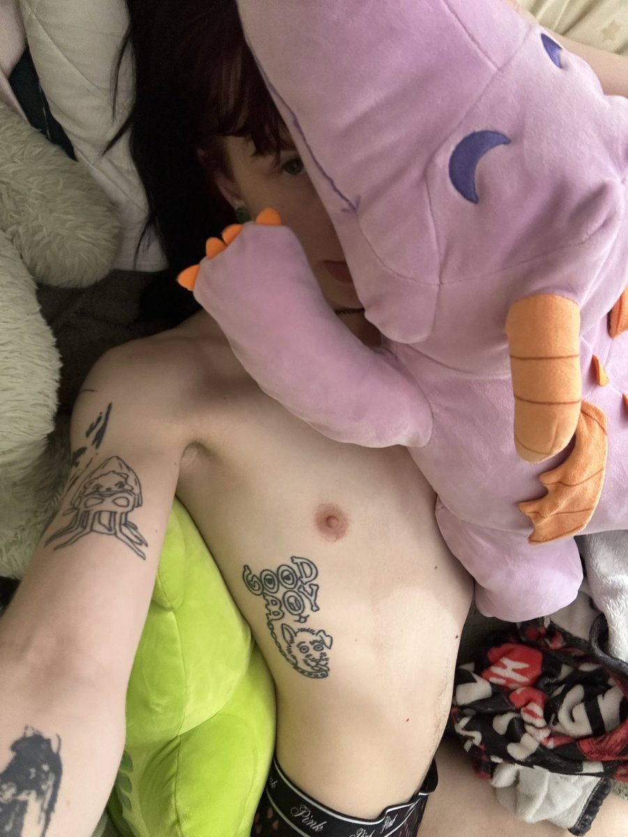 beetlesmooch's tweet photo. post nap,, who wants to cuddle :p https://t.co/dmGzS67C95
