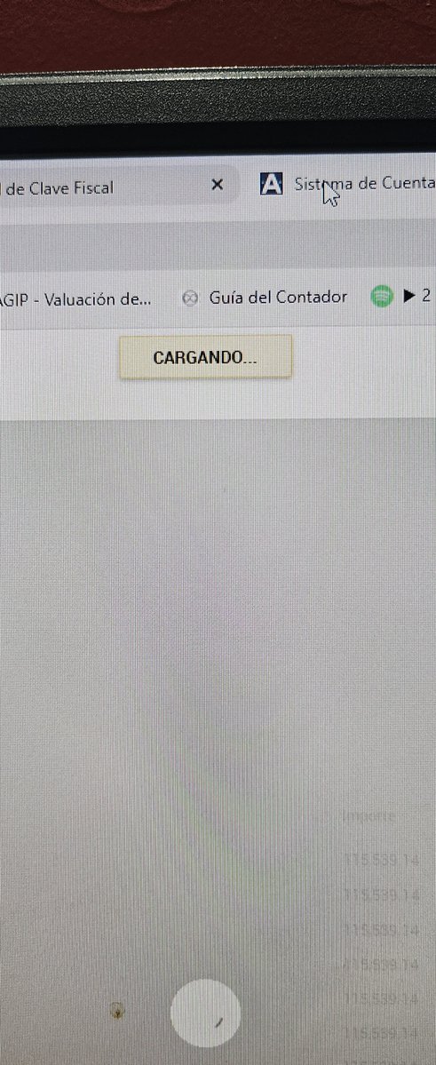 MonicaBFer1's tweet photo. @ARCA_informa @LuisCaputoAR @fedesturze @DiputadosAR @SenadoArgentina  asi funciona la pagina... mas de 10 minutos esperando.. no reacciona. No se olviden de Bajar las multas! Si la pagina anda asi el contribuyente se llena de multas por no poder presentar las DDJJ https://t.co/CaZz3o9RPk