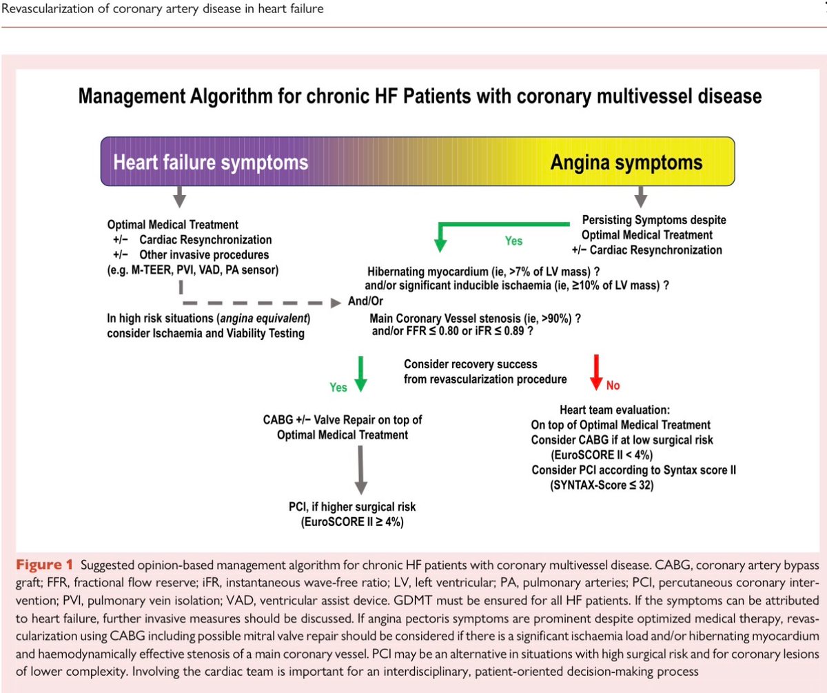 EJHFEiC's tweet photo. Revascularization of coronary artery disease in heart failure: a European Journal of Heart Failure expert consensus statement

#EJHF @ESC_Journals 

https://t.co/96pNN23JoV 
@HanCardiomd @AmrAbdin10 @GiuseppeGalati_ https://t.co/9gv1E9ugFj