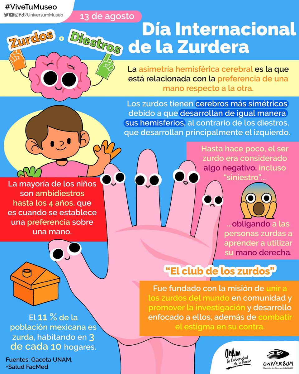 UNAM_MX's tweet photo. #UnDíaComoHoy se conmemora el Día Internacional de la Zurdera. Las personas zurdas aún son objeto de burlas, prejuicios, incomprensión y maltrato, sin embargo, esa condición tiene algunas ventajas: #ExpertaUNAM > https://t.co/xiG0JzOGsA
Infografía de @UniversumMuseo 👇. https://t.co/V1GFzAU1aI
