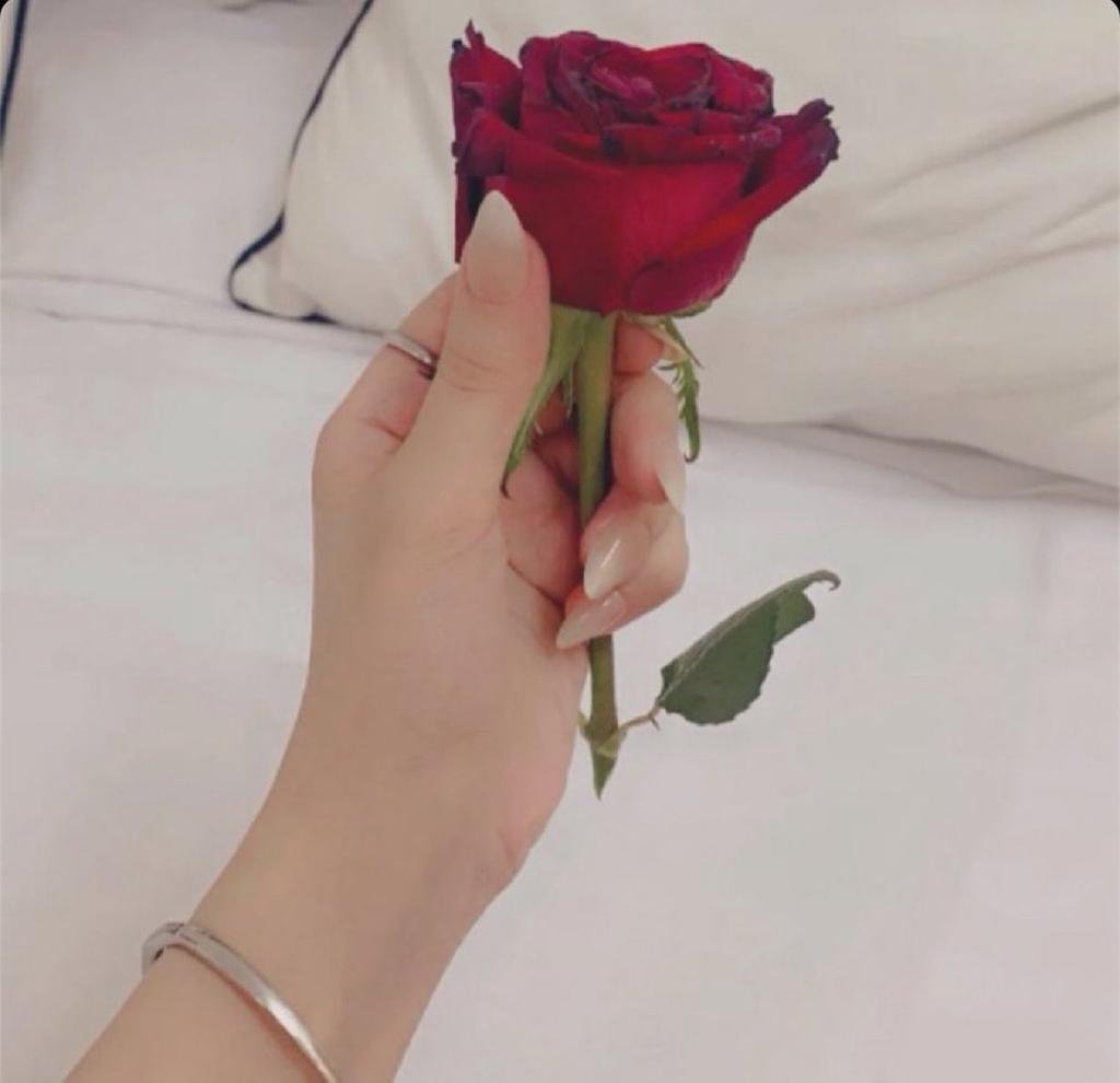 tyjldm's tweet photo. عشاااانك https://t.co/1H3LkWoWKh