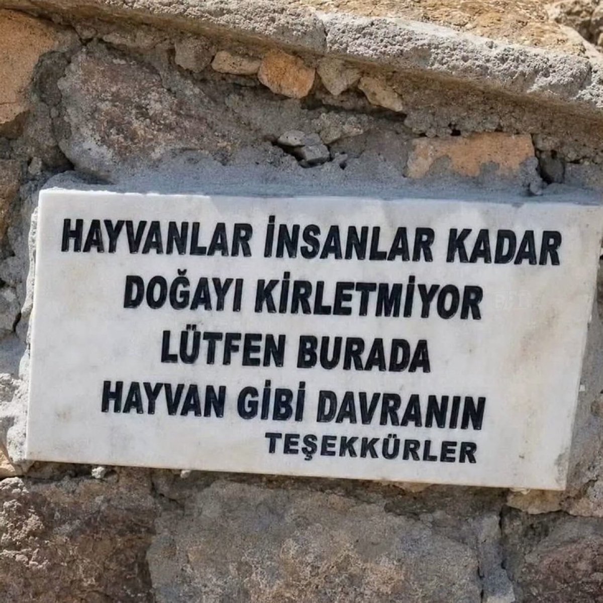 izmirgibiyiz's tweet photo. Ormanlık alandaki bir çeşmeye yazılan yazı:

“Hayvanlar insanlar kadar doğayı kirletmiyor. Lütfen burada hayvan gibi davranın teşekkürler.” https://t.co/ZVQxtmGSvr