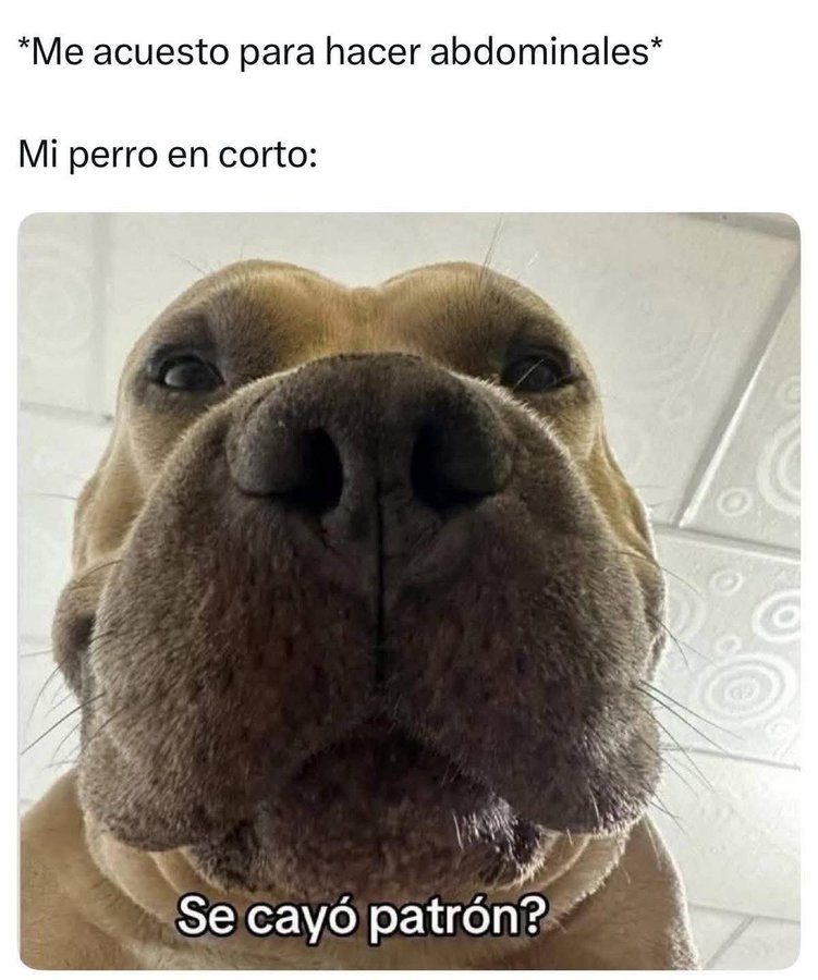 bjs_alejo2's tweet photo. https://t.co/5T5PvVLvOU