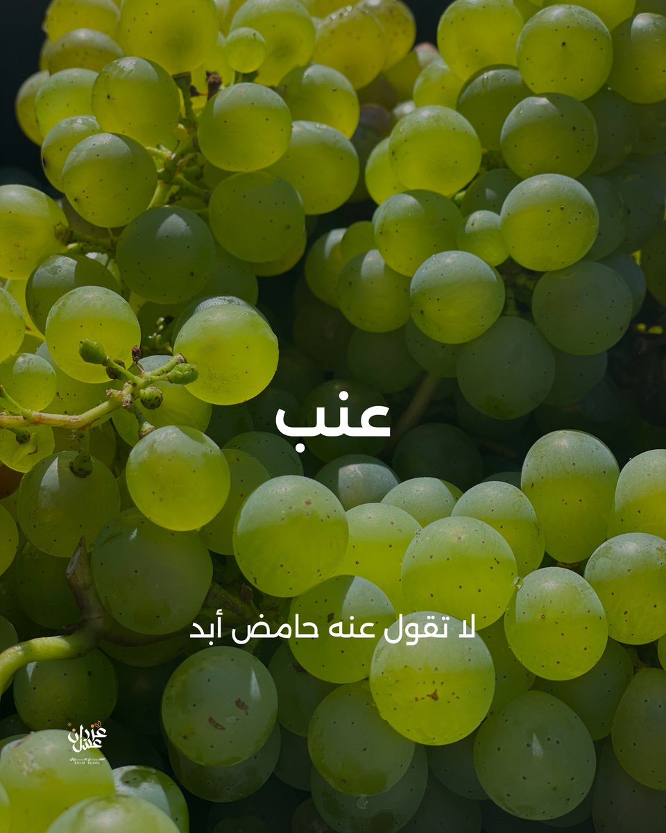 Azran39's tweet photo. لو الحياة عطتك.. https://t.co/qxEjjRCkOC