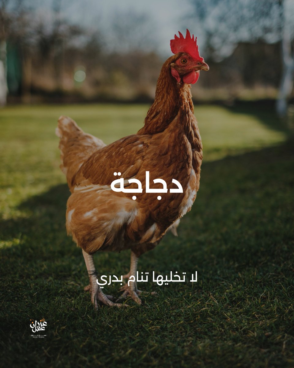 Azran39's tweet photo. لو الحياة عطتك.. https://t.co/qxEjjRCkOC