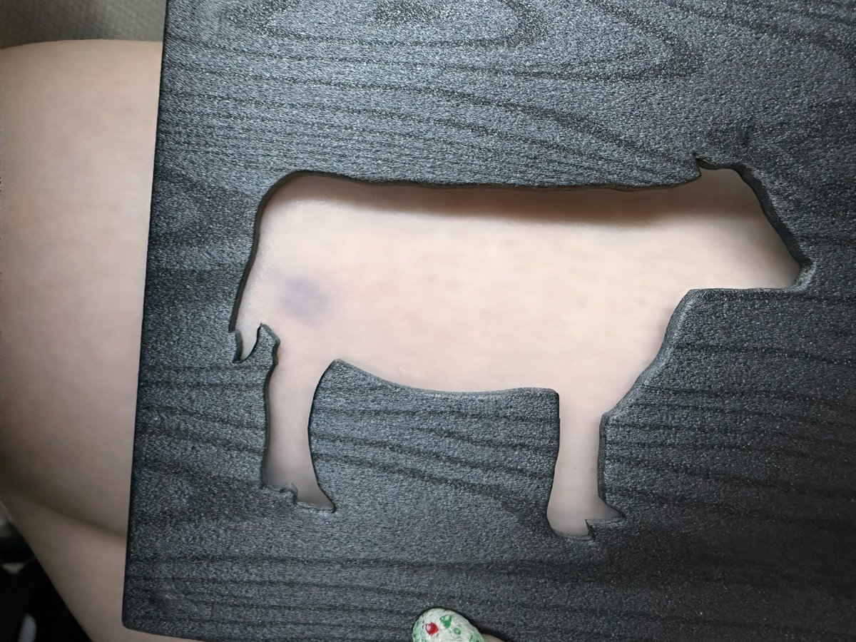 Null_Lv3's tweet photo. 出来立ての駅弁って美味しい
🐮🦵 https://t.co/tWKBb2vq4S