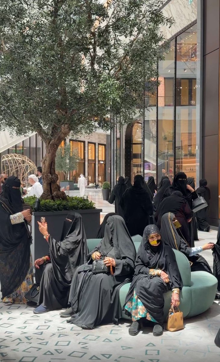 purrequeen's tweet photo. ياربي محلاهم 🥺😩 https://t.co/Oudk3Mpvng