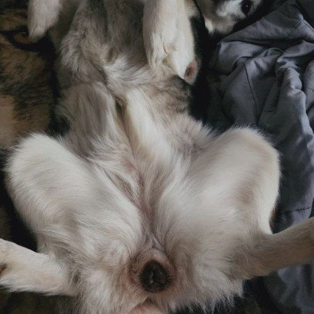 ZaggotThoughts's tweet photo. Wifey enjoys sleeping a bit too revealing 😅 https://t.co/URmDegy2m7