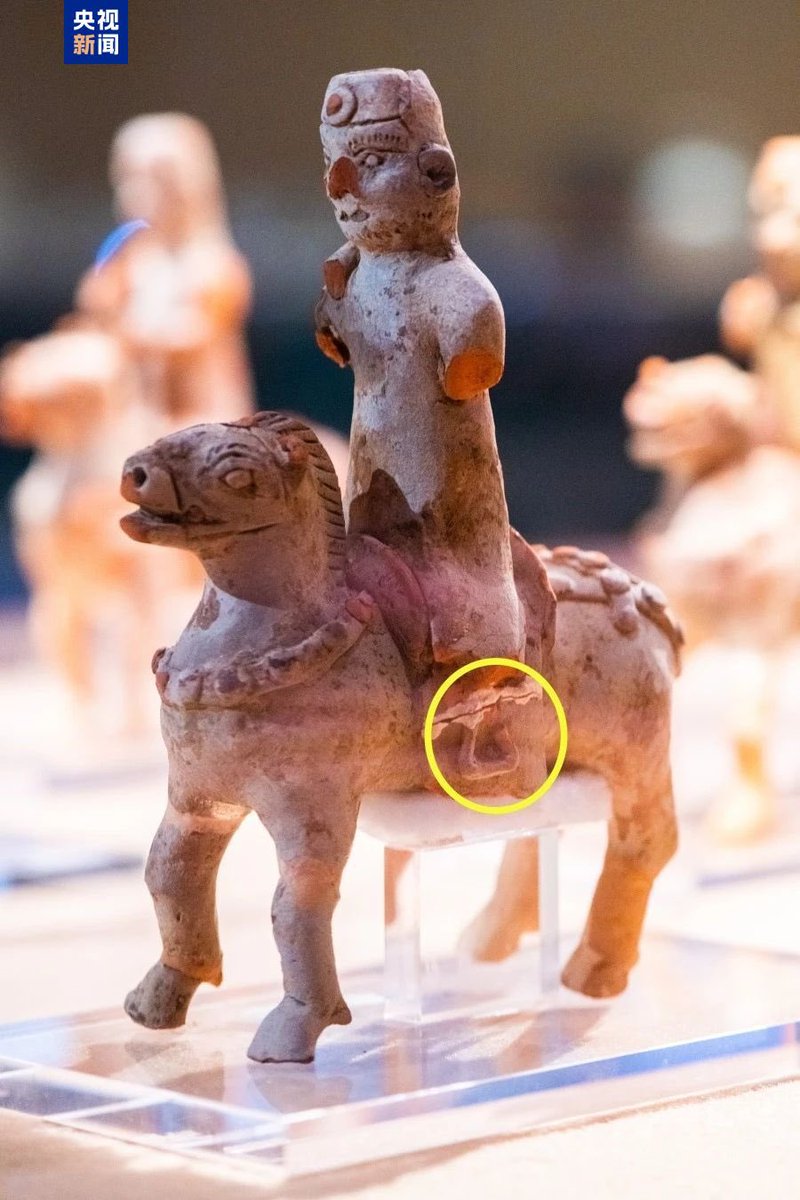 ‼️水芙蓉になりました‼️年末激安OK‼️中国品買取‼️狭西省出土騎馬民族水滴箱付 三国時代の武将の墓から世界最古の鐙を発見 中国南京】 現在行われて