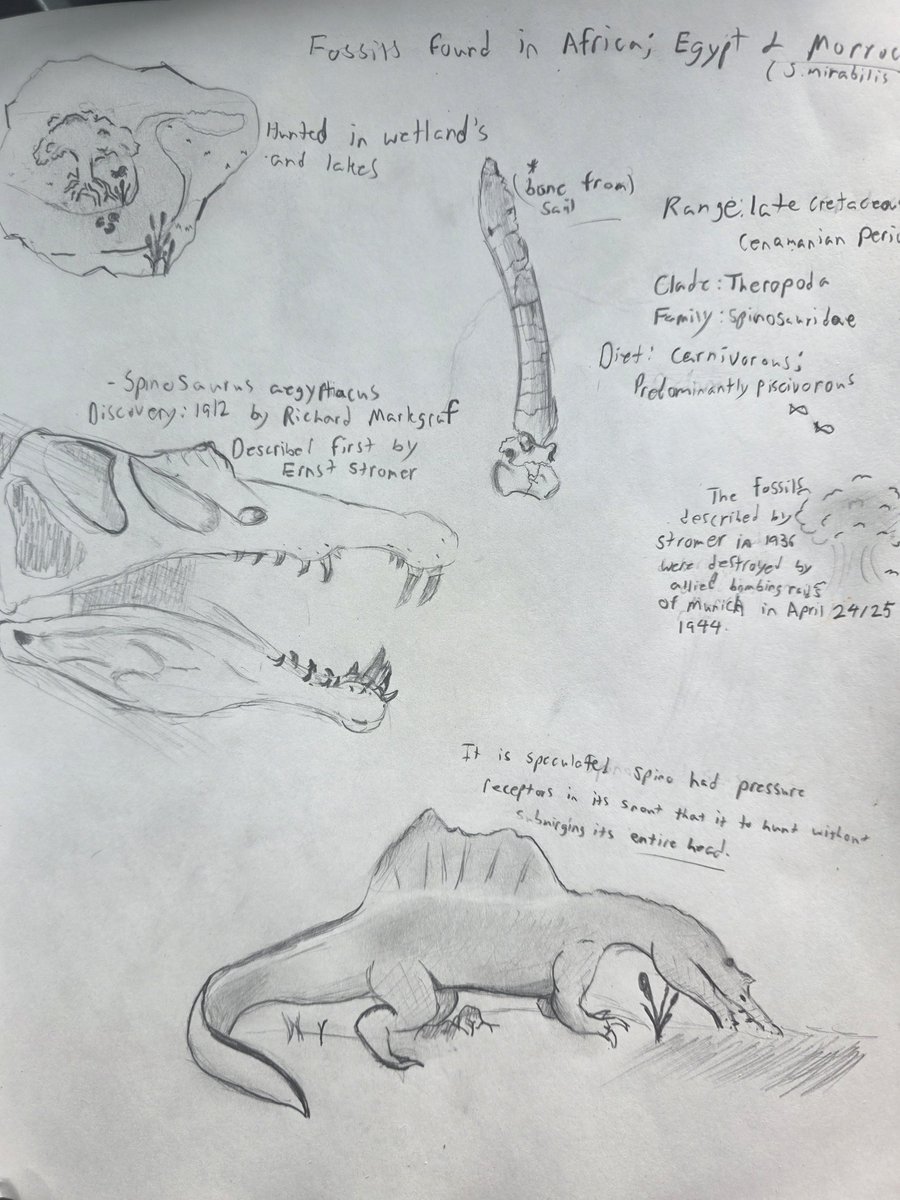 midnightmatric's tweet photo. Been bored, learning and drawing #Dinos now. #dinosaurart https://t.co/6g8JTAesvb
