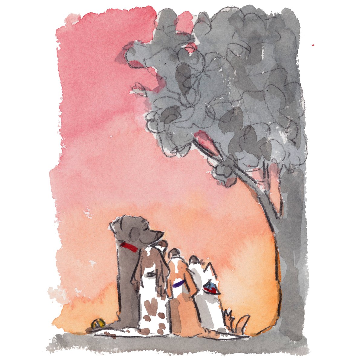 iaindwelch's tweet photo. Good night, lovely people and lovely dogs.
The team loves to watch the sunset.
Sleep well and sweet dreams.
I am wishing you the very best for the tail end of your week. 
#hoorayfordogs #labrador #springer #beagle #westie #redsquirrel https://t.co/0klyy5fWmm