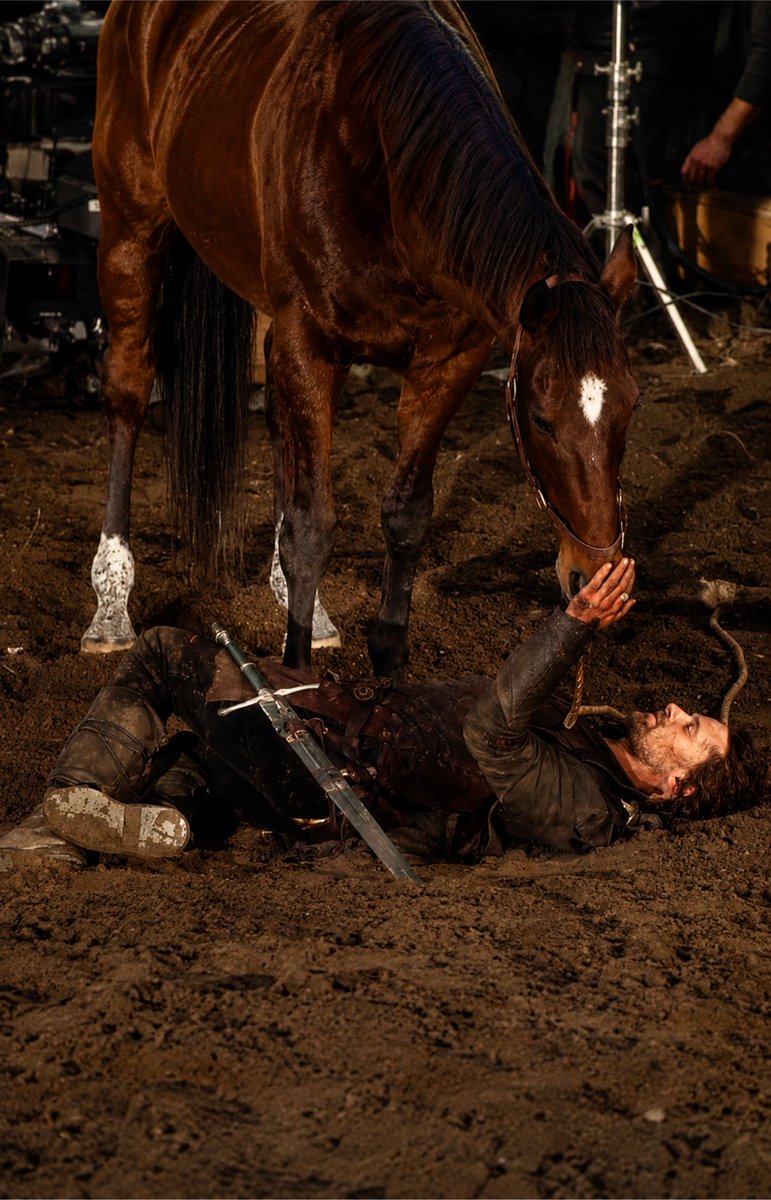 ToIkienverse's tweet photo. 🚨 Viggo Mortensen se presentaba más temprano en el rodaje solo para cepillar, ensillar y dar una vuelta con los caballos. Incluso se metía en los establos y dormía con ellos para forjar una conexión real de confianza con el animal antes de las escenas. 

Acampaba en la zona, salía a pescar en los descansos y llegó a comprar el caballo que interpretaba a Brego (llamado Uraeus) y al que hacía de Asfaloth para regalárselo a la doble de riesgo de Liv Tyler (Arwen), quién también había desarrollado un gran vínculo con él. 

En total llegó a comprar tres de los caballos que aparecieron en la trilogía. Tristemente Mortensen confirmó que dos de ellos ya habían pasado a mejor vida y solo uno de ellos quedaba con vida, el caballo blanco de Arwen. 

Uraeus (que hizo de Brego) falleció en 2015 a los 28 años y Kenny (que hizo de Hasufel) falleció años después en el año 2020, se desconoce la edad que tenía. (Se dice que podría tener entre 25-30 años, una edad muy avanzada para un caballo)

Mortensen entendió que los caballos no son meros elementos de producción, sino compañeros de trabajo que merecen consideración y respeto. 

Sí, fue el verdadero Aragorn. 👑