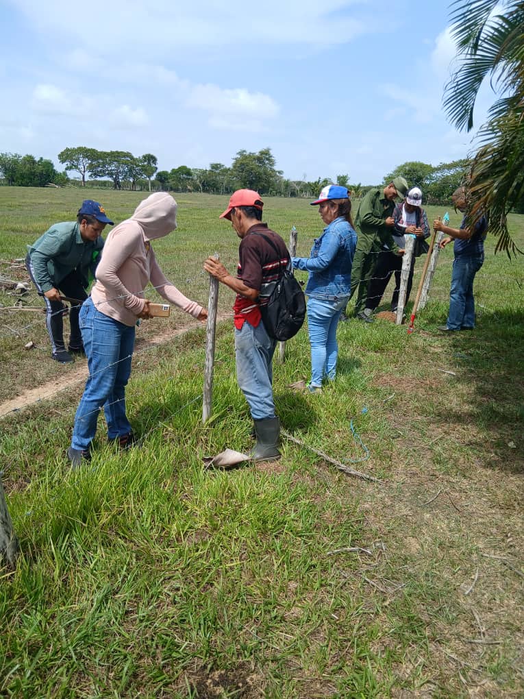 ConsejoPinar's tweet photo. Trabajadores y del #ConsejoElectoralMunicipal de #Sandino junto a jóvenes y representantes de organizaciones políticas y de masas
Fueron hasta el lugar en el que nació la madre de #Fidel y sembraron 10 cedros para completar 100 en honor al centenario del natalicio del Comandante. https://t.co/TfvCvXPAQl