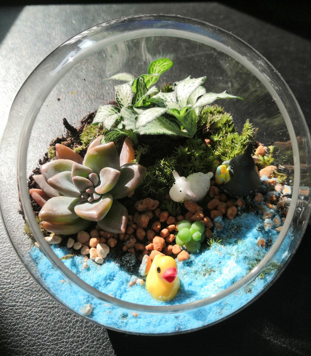 RyannEmswiler's tweet photo. Just turned an old glass jar into a tiny herb planter for my windowsill—no fancy tools needed, just some pebbles and soil. Small wins make big days!， https://t.co/7gX0VeDney