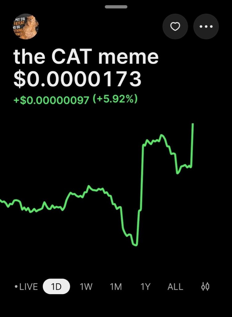 luxxxx_z's tweet photo. @CryptoThro $CAT https://t.co/wMo0v70ckb