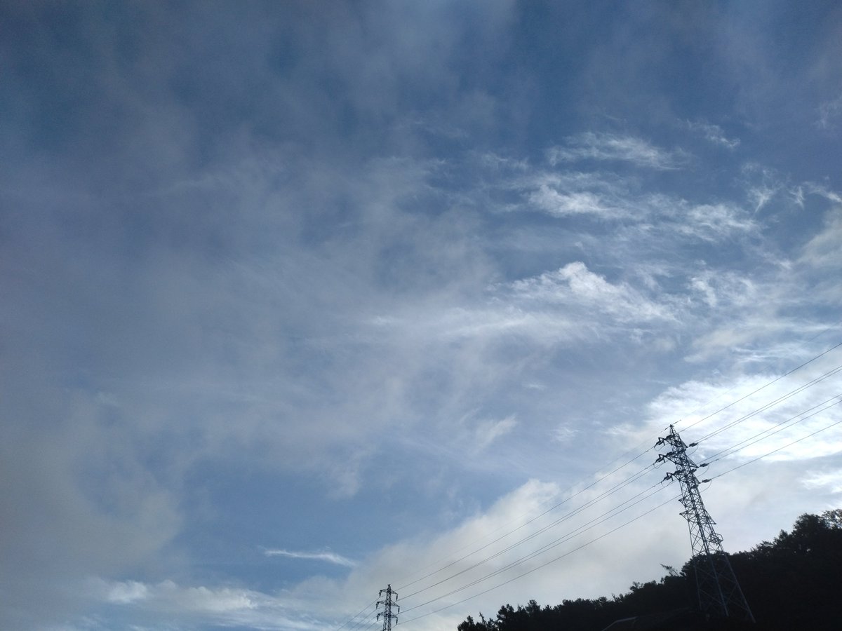 s_i_fb's tweet photo. 朝のお散歩から
おはよーございます😴
#イマソラ
#空
#空好き https://t.co/EXTghFyd9z