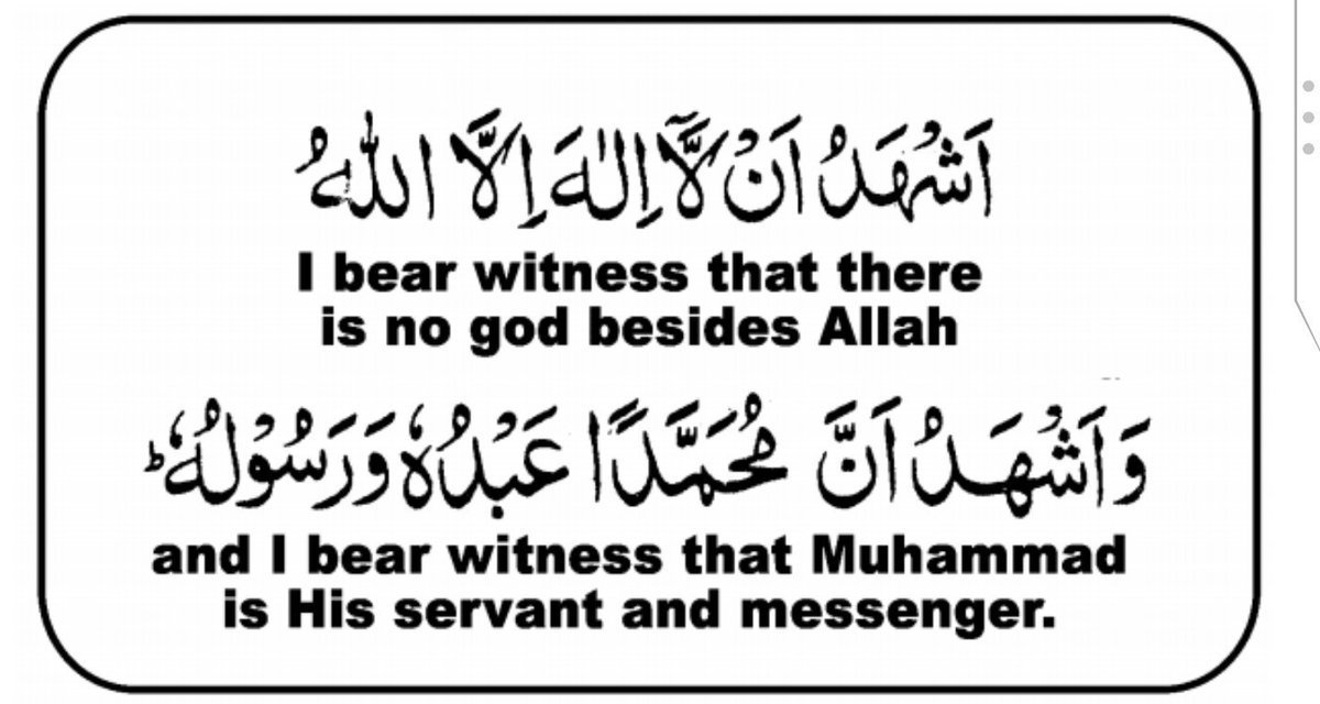 tesleemmohammed's tweet photo. https://t.co/tqnA5nkDTx
