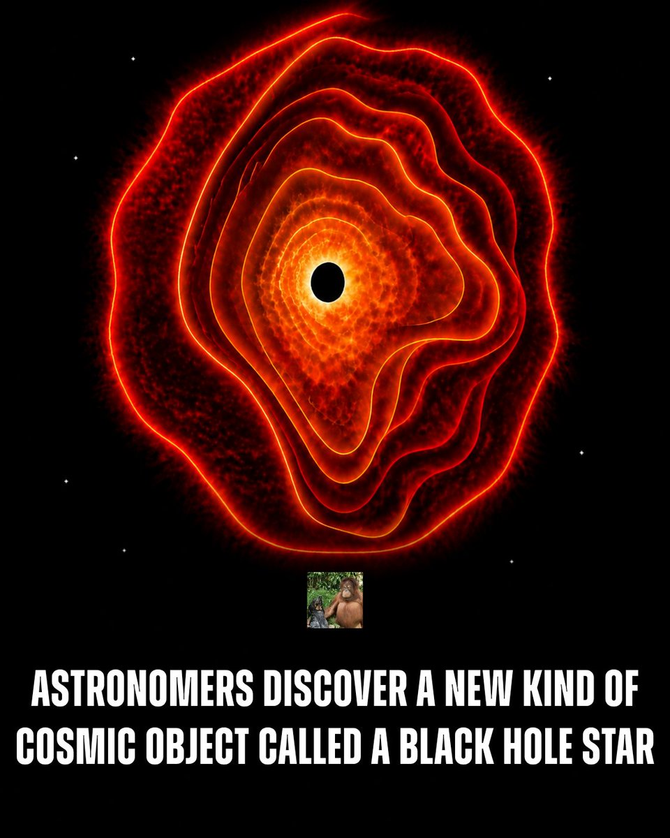 AMAZlNGNATURE's tweet photo. Astronomers have discovered a new kind of cosmic object, a Black Hole "Star"

The mysterious object, spotted by the James Webb Space Telescope in the constellation Cetus, appears to be a black hole surrounded by glowing gas and is roughly the size of the Solar System https://t.co/InaGV8osgs