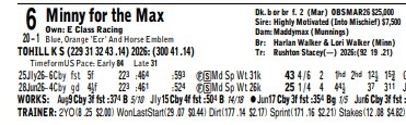 CBYTrackFlack's tweet photo. Friday at @prmracing in $100k Prairie Meadows Debutante is this @minnesotabred. Bet it in the @CanterburyPark Racebook https://t.co/ocDc0p7unm