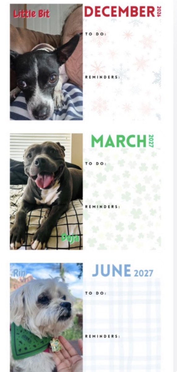 ajfalcon411's tweet photo. Doja made the cut for a dog calendar she’s miss march 2027 lol  #Doja https://t.co/vpqMLiOJvY