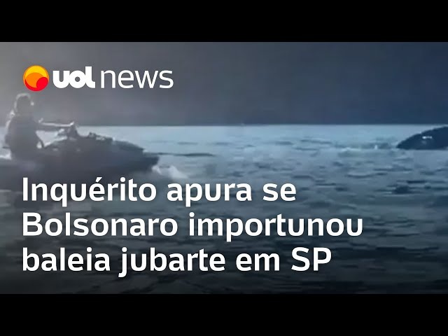 MafinhaBarba's tweet photo. Duas notícias uma sem relação com a outra https://t.co/C4n5jivVDq