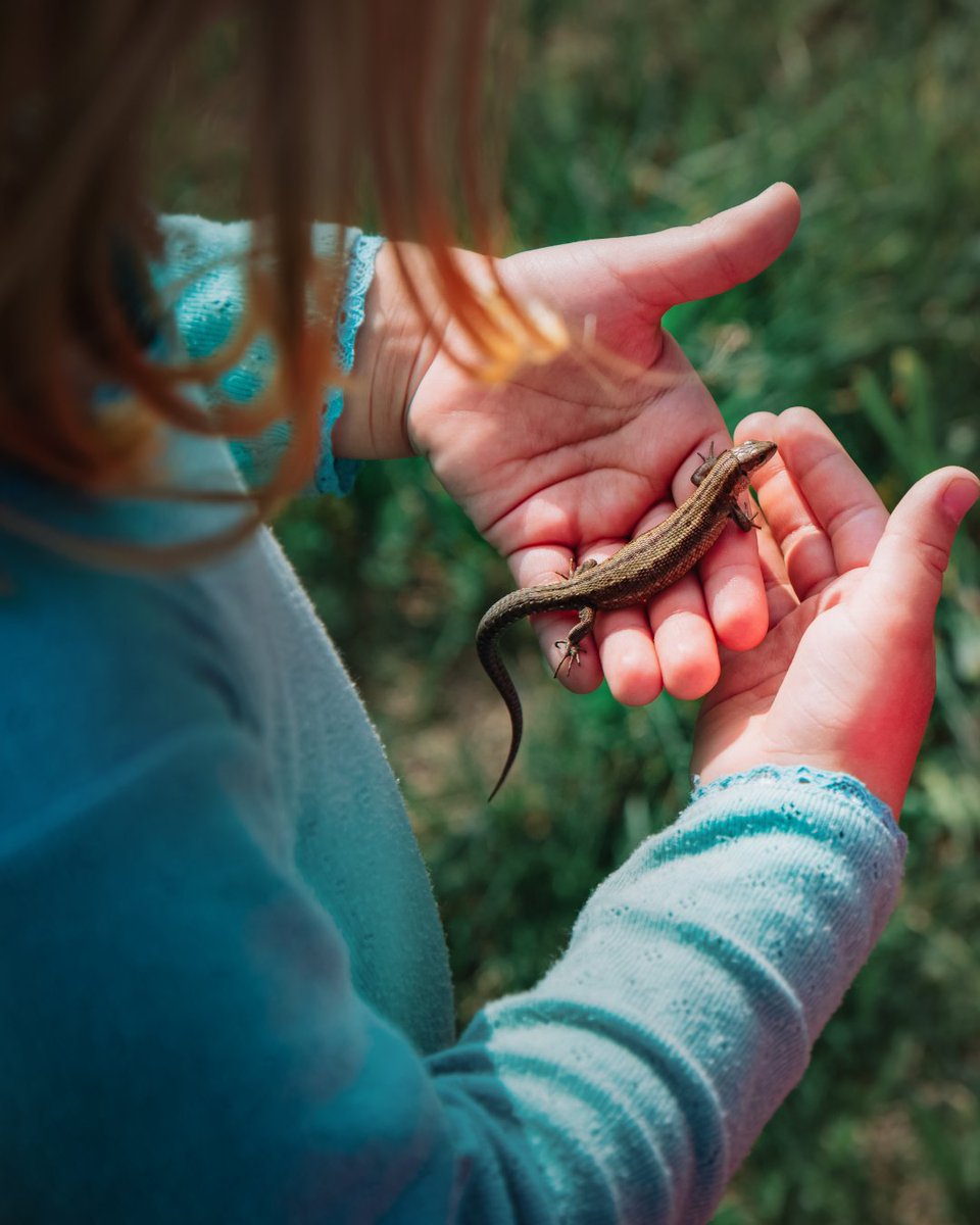 cademuseum's tweet photo. 🌿🔎 What’s so Neat-ure about nature? Homeschoolers ages 7–11 will explore, experiment, and get curious through science and imagination 🧪✨

📅 Thursday, September 10
⏰ 1:00 - 3:00 PM
🎒 Student drop-off

🔗 Secure their spot today! https://t.co/Z40P0F3iQO.. https://t.co/LVNDR8gAwC