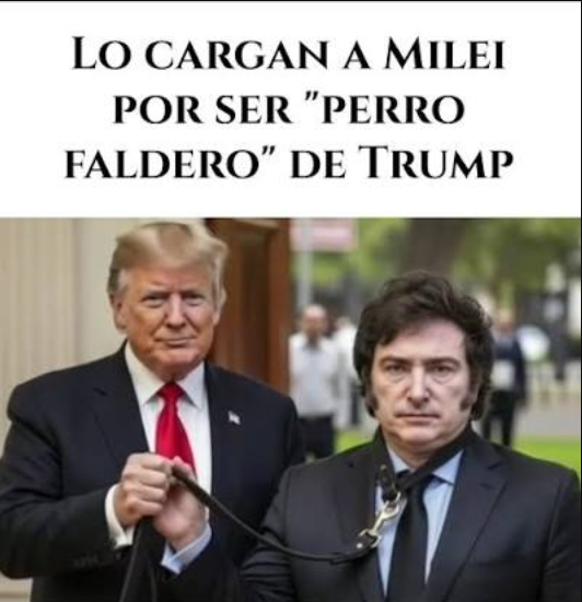 zF1F4's tweet photo. @zw_jna @Mex3Fpo @karpi67 @JonaJuarez1096 @SebastianVian69 'Porque no somos putitas cola fácil como ustedes que donan tierras', dan la patagonia a judios, le donaron las malvinas a los ingleses y están vendiendo sus tierras a extranjeros, quedaste peor😂🥀 señor trump, ha probado el asado de burro? 😂🥀te vas enterando?😂 https://t.co/qDqa4TOh9g