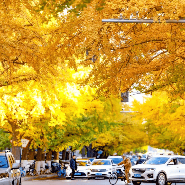 45Fiona's tweet photo. [Autumn breeze just blew in—sweater weather is finally here! ]， https://t.co/4SOrTHtXzf