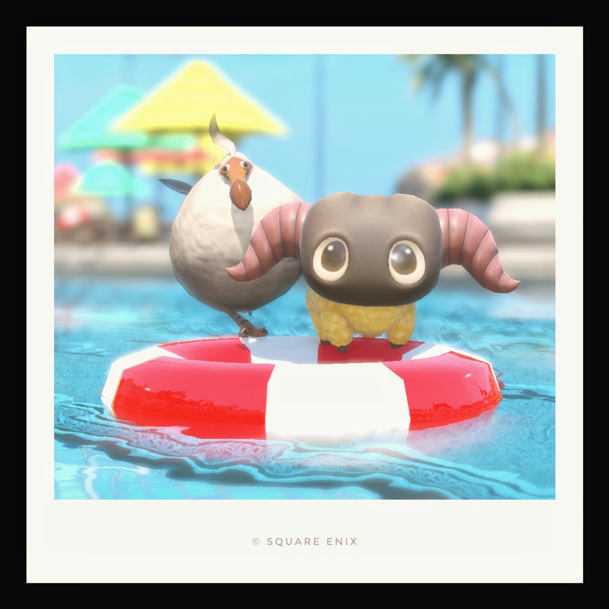 asacmdr's tweet photo. 🛟🦤🐏✨️
#おはドド https://t.co/UiFIlMiDjh