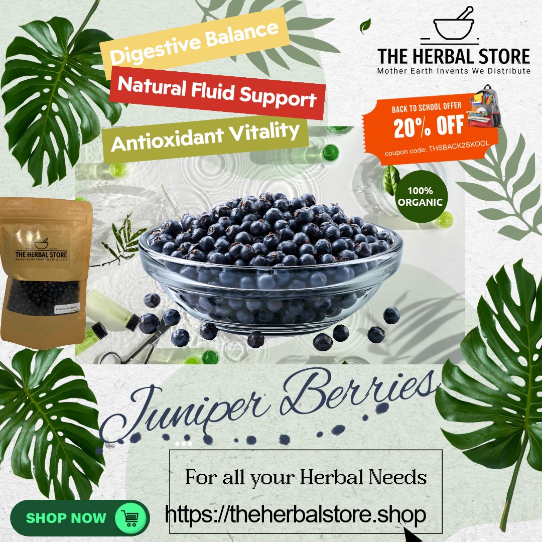 HerbalStoreTx's tweet photo. 🌿 Tired of sluggish digestion or needing natural kidney & bladder support? 

Meet our Organic Finnish Juniper Berries – wild-harvested from pristine forests!

✨ Natural diuretic to flush toxins & promote urinary health
✨ Bitter compounds that ease gas, heartburn & boost appetite
✨Delicious piney-citrus flavor for tea, stews or spice blends

Hand-picked, carefully dried & pure. Your body will thank you!  👉 Shop now: https://t.co/480H7O3gan

 #OrganicJuniperBerries #KidneyHealth #NaturalDiuretic #HerbalWellness #DigestiveSupport #TheHerbalStore
