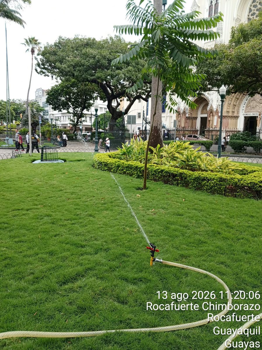 parquesgye's tweet photo. 3/3 El mantenimiento del Parque Seminario no se ha suspendido.

Nuestro equipo trabaja permanentemente para conservar este espacio, atender las necesidades que genera su alta afluencia de visitantes y garantizar condiciones adecuadas para ciudadanos y turistas.

📸 Las fotografías que acompañan esta publicación son recientes y evidencian las labores que se realizan.

En Parques EP preferimos responder con hechos. 🌳