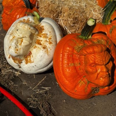 CVGPFARM's tweet photo. #NewProfilePic https://t.co/Hu3zRfTbaG