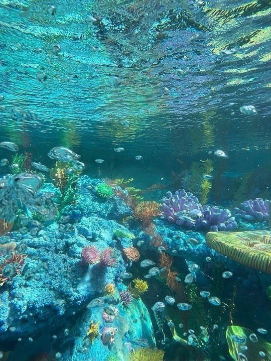 calmlivng's tweet photo. under the sea https://t.co/ahgBvn6maW