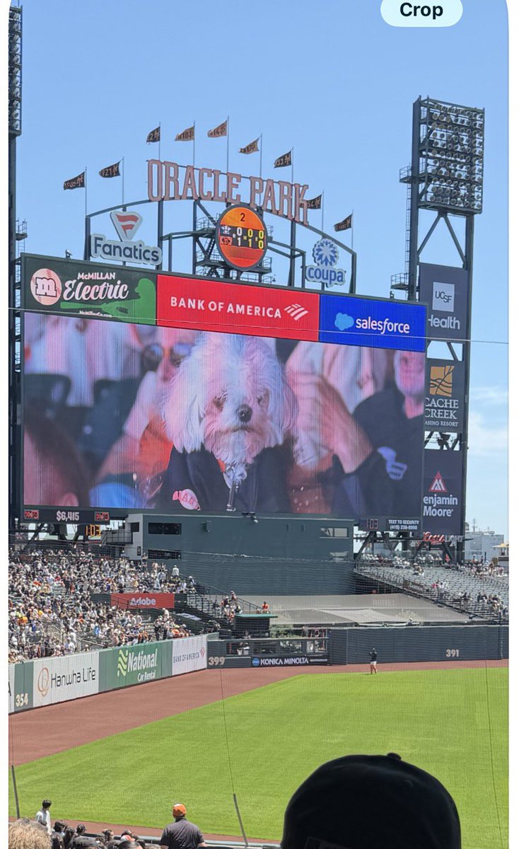 jengreenfield's tweet photo. Kinley loved spending her day with her favorite team, #sfgiants https://t.co/1KtBZb39Qi