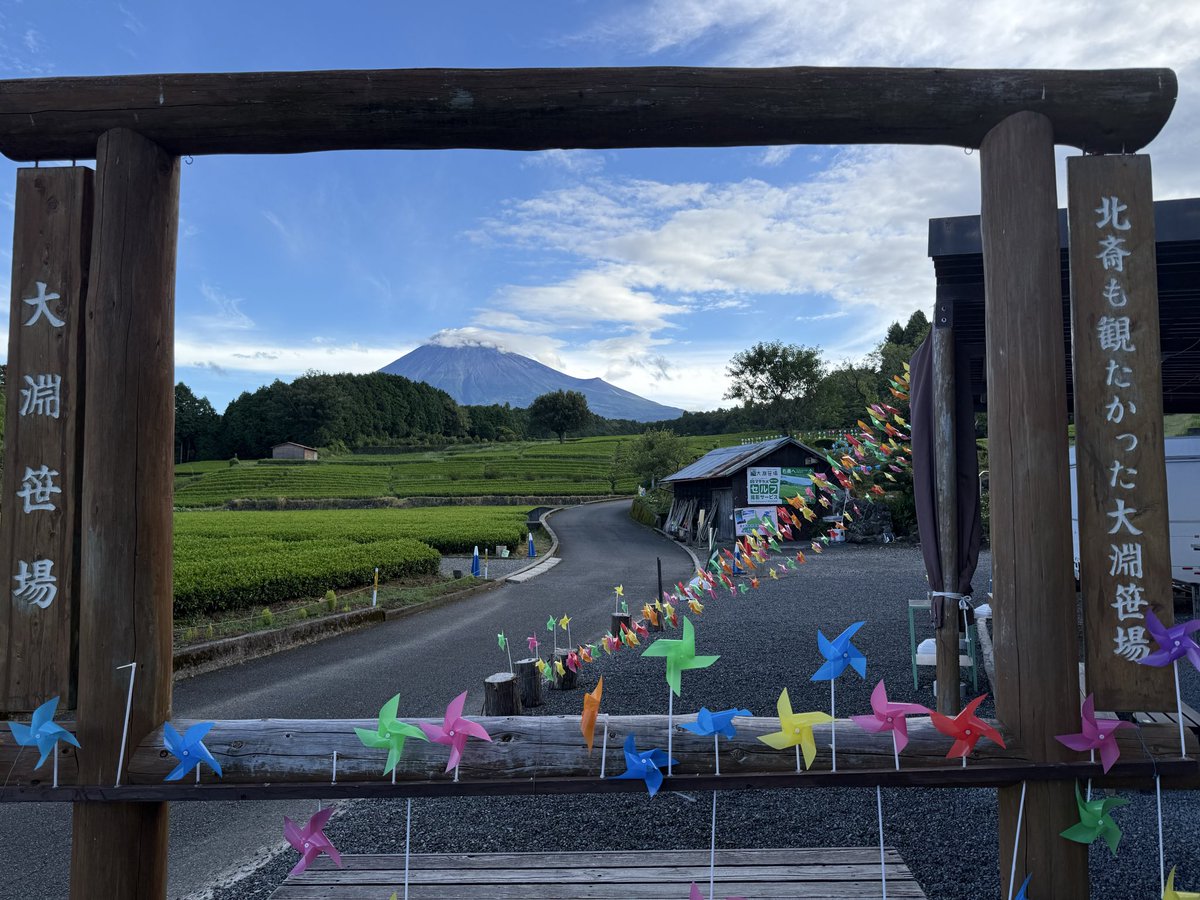 NormalUncleDesu's tweet photo. おはようございます。

早起きしてシェリアさんを連れて大淵笹場に行ってきました。

電線がないので富士山を背景に茶畑を綺麗に撮るならここ！という人気スポットです。

今日も暑そうですが熱中症に気をつけて頑張りましょう！

 #ドール
 #tinyfox
 #おはドル https://t.co/Z9Nj6bLd2z