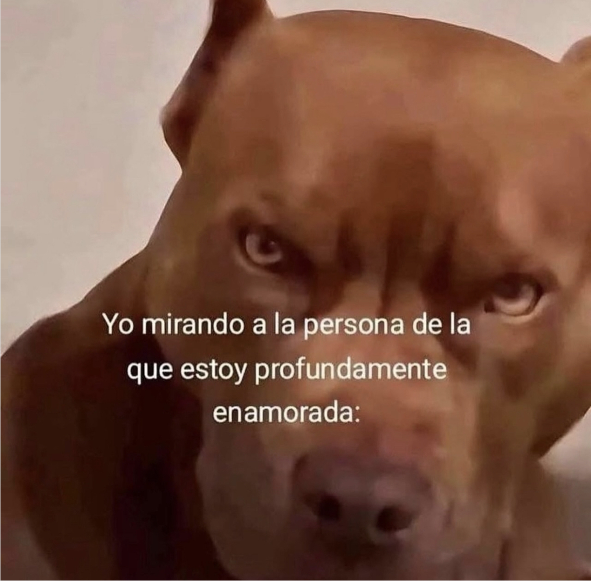 Guarromantico_'s tweet photo. Asies. https://t.co/yMk4PNCgyA