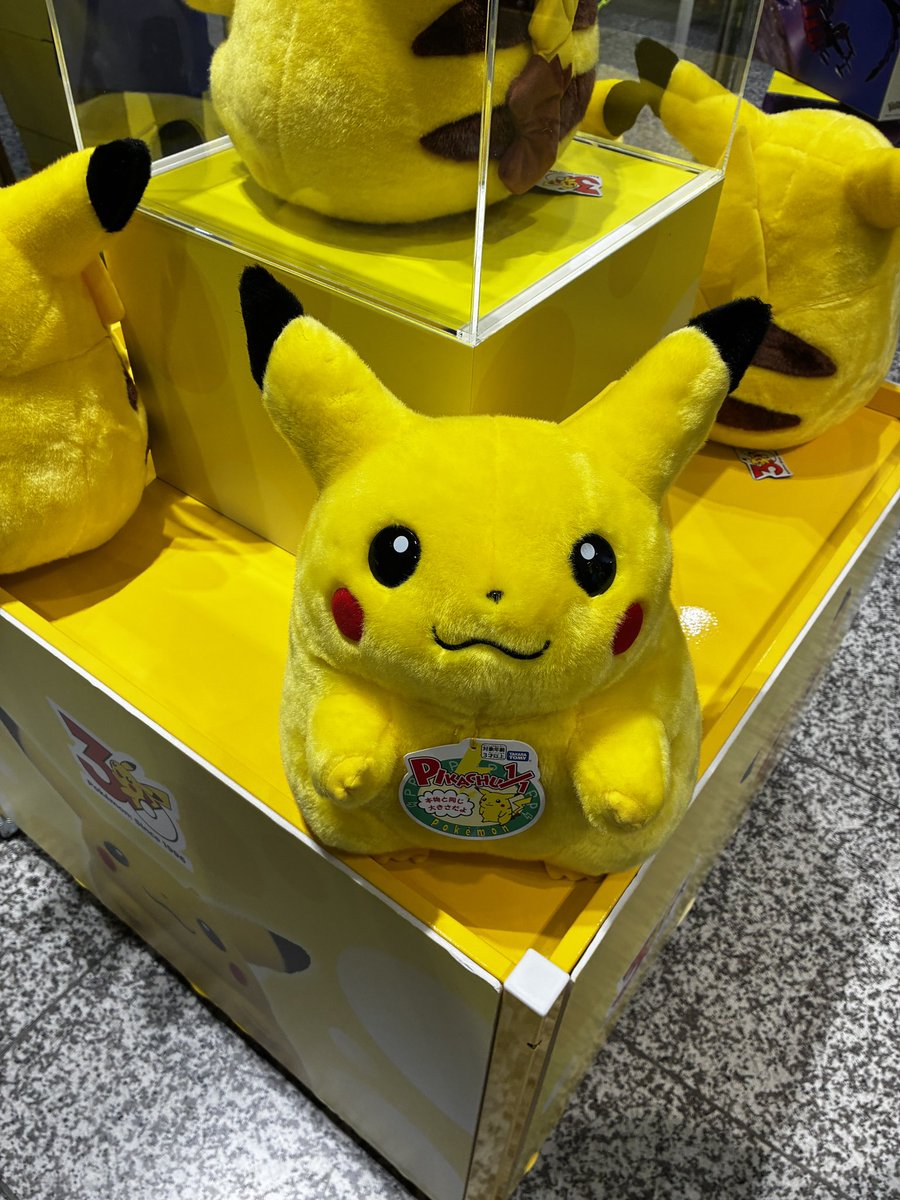 pinksweetdeicy's tweet photo. ピカチュウと目が合ったので、捕獲しちゃった！
キミに決めた！

（キッズ達に指差される） https://t.co/yEzVRVeNx7