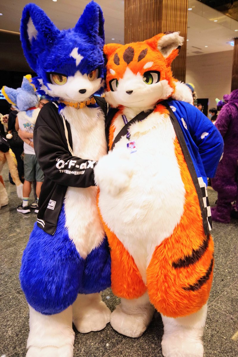 koujifurry's tweet photo. 可愛いぽちゃぽちゃちゃんと一緒に写真撮る
💙🧡

#FursuitFriday

🪡:
@fur_starfire 

攝：
@kussy02 https://t.co/IN5RXDPR8G