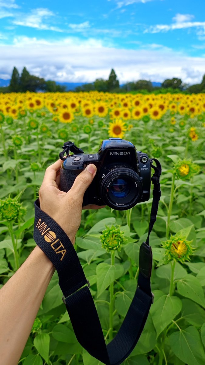 efc_wildlife's tweet photo. 久々のフィルム https://t.co/VcsHh9SYH4