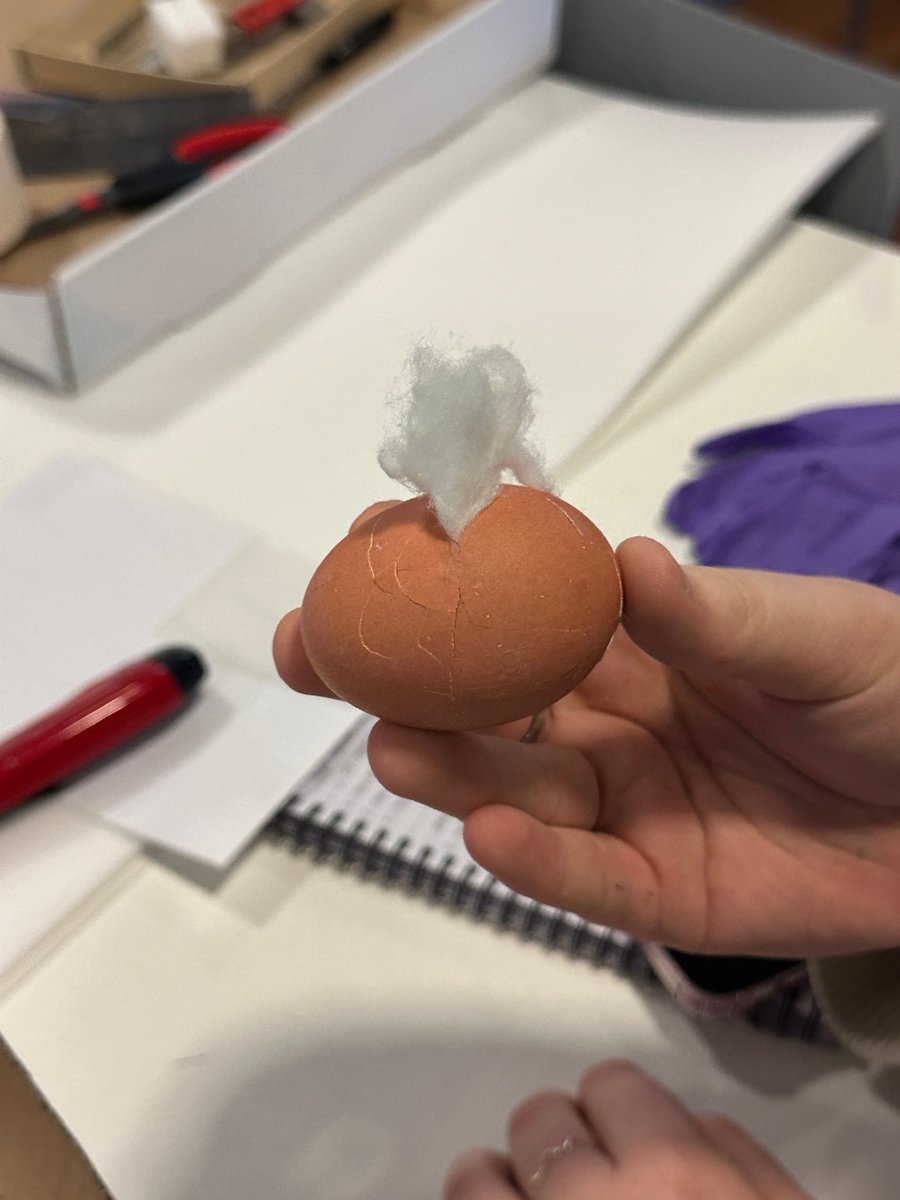 HanMii3's tweet photo. My campus lab mouse tried to steal my lunch during midterm review—at least he had good taste in granola bars https://t.co/HvV7VBlIUp