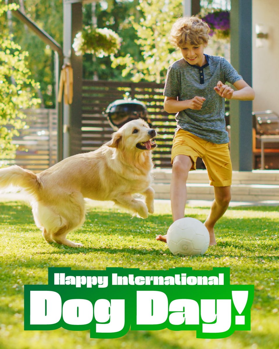 LEGRAJR's tweet photo. Happy International Dog Day to our loyal, loving companions! Ready to find a home with the perfect yard for your best friend? Send me a message to get started.Elias Legra Inc Nmls#117864 https://t.co/cHs5zumyVu