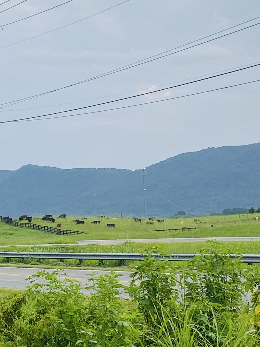 kentucky607's tweet photo. https://t.co/P6pUow0jrU