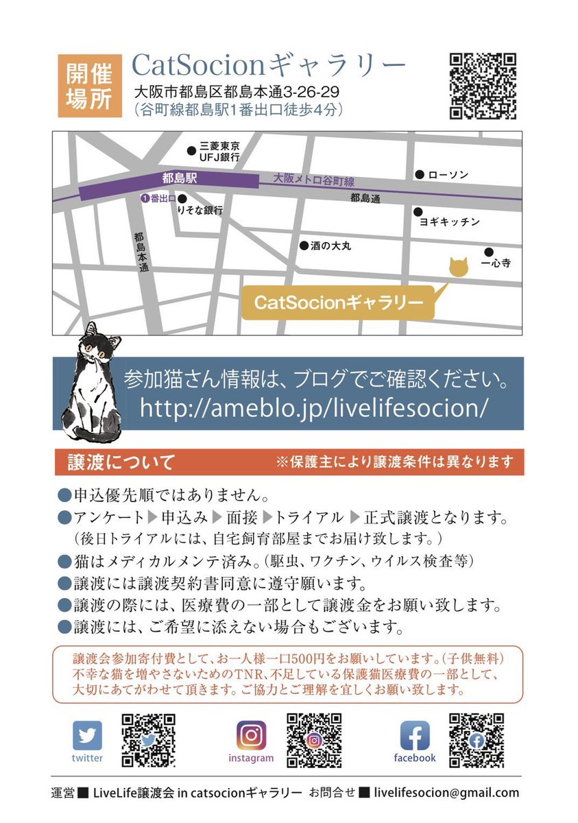 livelifesocion's tweet photo. 子猫は2匹飼育が一緒に遊んでくれるのでお世話がとても楽ですよ。
先住ちゃんとの遊び相手にもいいですね！一匹飼育ももちろん大丈夫です。一匹で大切に可愛がられる幸せもあります。譲渡会にてご相談ください🐾
#リブライフ譲渡会 https://t.co/nbFtWKdW0C