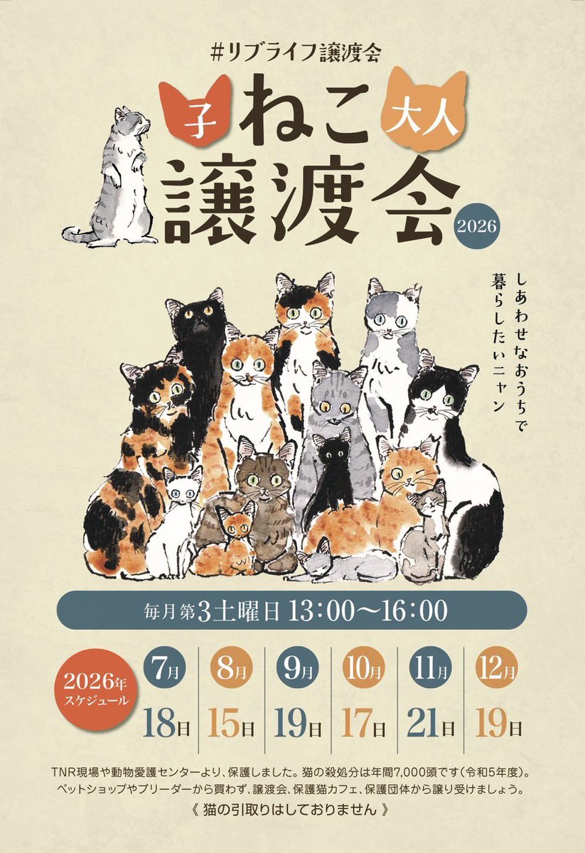livelifesocion's tweet photo. 子猫は2匹飼育が一緒に遊んでくれるのでお世話がとても楽ですよ。
先住ちゃんとの遊び相手にもいいですね！一匹飼育ももちろん大丈夫です。一匹で大切に可愛がられる幸せもあります。譲渡会にてご相談ください🐾
#リブライフ譲渡会 https://t.co/nbFtWKdW0C